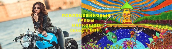 мескалин Каменка