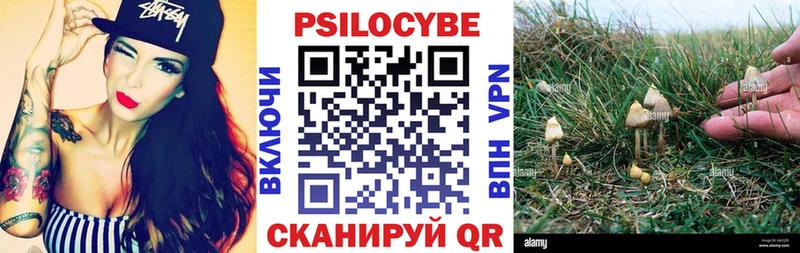 Купить где  Махачкала  Галлюциногенные грибы Magic Shrooms 